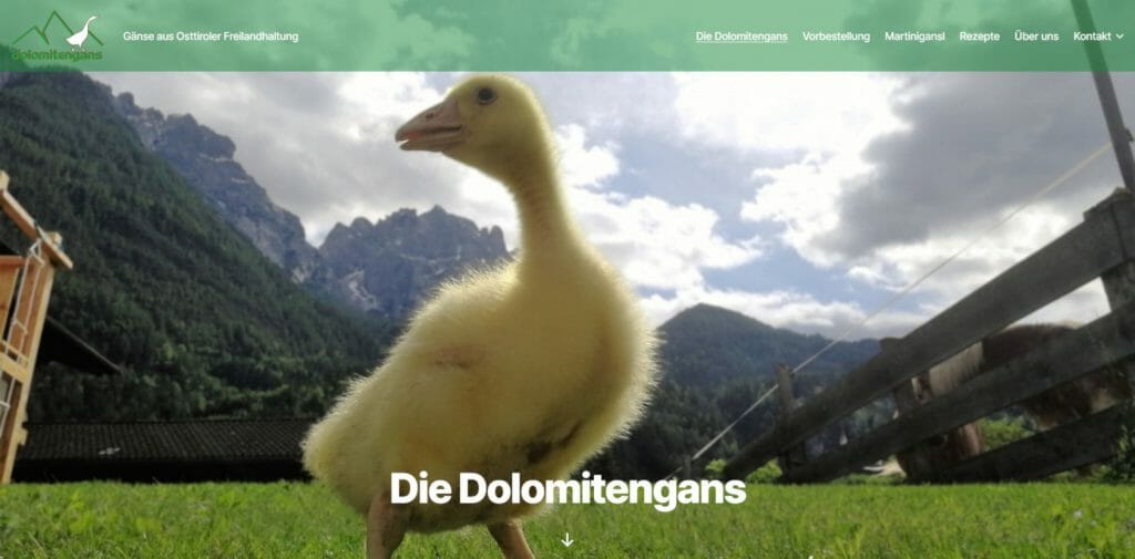 Die Dolomitengans www.dolomitengans.at